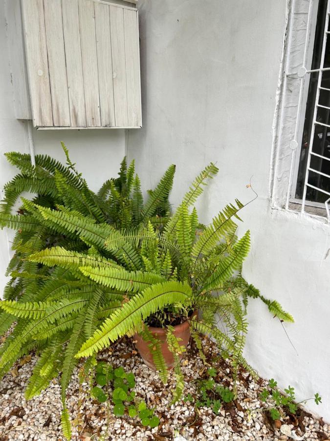 Avra House Limassol Exterior foto